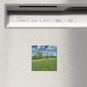 Appalachian Green Magnet (Insitu (Vaatwasser))