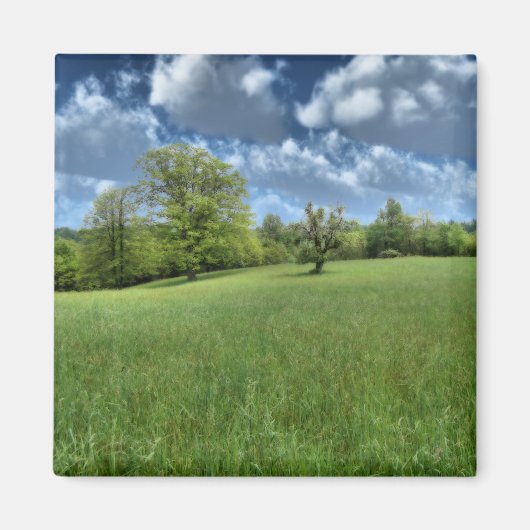 Appalachian Green Magnet (Voorkant)