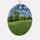 Appalachian Green Ornament (Rechts)