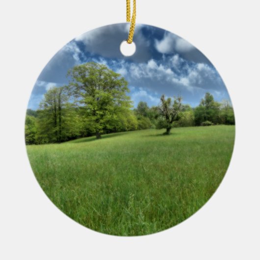 Appalachian Green Ornament (Voorkant)