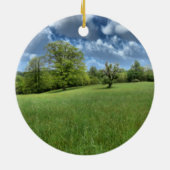 Appalachian Green Ornament (Achterkant)
