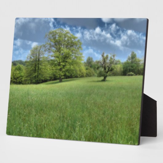 Appalachian Green Photo Plaque Fotoplaat (Zijkant)