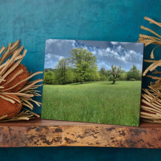 Appalachian Green Photo Plaque Fotoplaat (Zijkant)