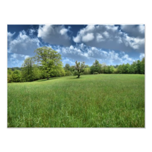 Appalachian Green Photo Print Foto Afdruk (Voorkant)