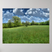 Appalachian Green Print (Voorkant)