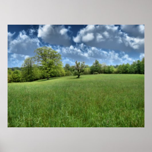 Appalachian Green Print (Voorkant)