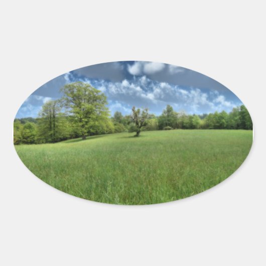 Appalachian Green Stickers (Voorkant)