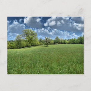 Appalachian Groen Briefkaart