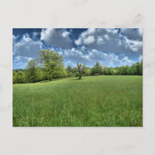 Appalachian Groen Briefkaart (Voorkant)