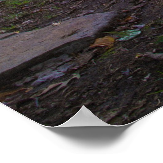 Appalachian Mountain Lake Scene Poster (Hoek)