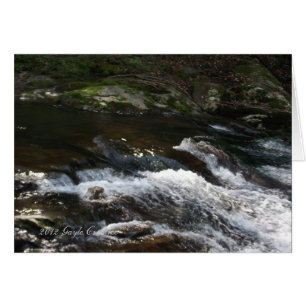 Appalachian mountainkreek