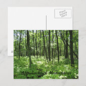 Appalachian Mountains Briefkaart (Voorkant / Achterkant)