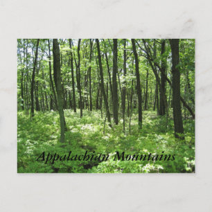 Appalachian Mountains Briefkaart