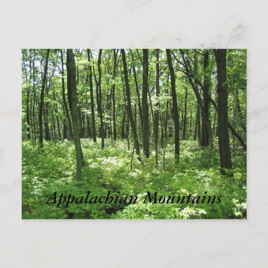Appalachian Mountains Briefkaart (Voorkant)