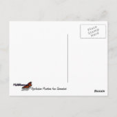 Appalachian Mountains II Shenandoah Briefkaart (Achterkant)