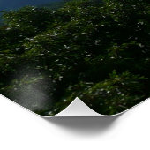 Appalachian Mountains II Shenandoah Perfect Poster (Hoek)