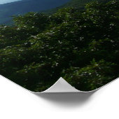 Appalachian Mountains II Shenandoah Poster (Hoek)