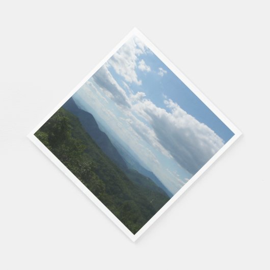 Appalachian Mountains II Shenandoah Servet (Hoek)