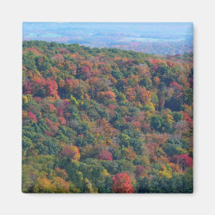Appalachian Mountains in de herfst Magneet