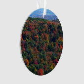 Appalachian Mountains in de herfst Ornament (voorkant)