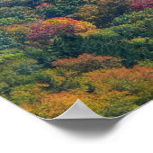 Appalachian Mountains in de herfst Poster (Hoek)