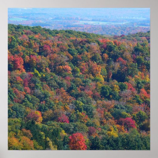 Appalachian Mountains in de herfst Poster (Voorkant)
