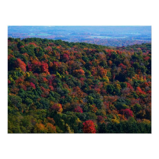 Appalachian Mountains in de herfst Poster (Voorkant)