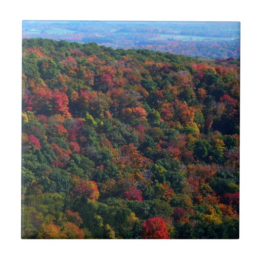 Appalachian Mountains in de herfst Tegeltje (Voorkant)