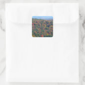 Appalachian Mountains in de herfst Vierkante Sticker (Tas)