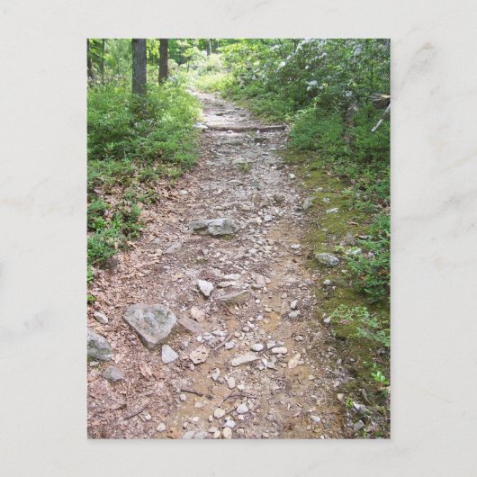Appalachian rocky Trail Briefkaart (Voorkant)