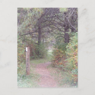 appalachian sleepherfst Pennsylvania Briefkaart