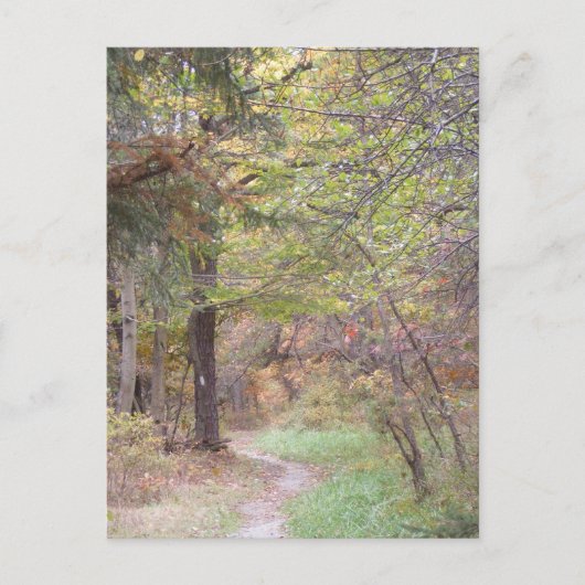 appalachian sleepherfst Pennsylvania Briefkaart (Voorkant)