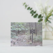 appalachian sleepPennsylvania zuidenberg Briefkaart (Staand voorkant)