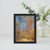 Appalachian Trail Autumn, Herfst Scenery Briefkaar Briefkaart (Staand voorkant)
