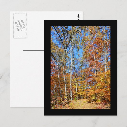 Appalachian Trail Autumn, Herfst Scenery Briefkaar Briefkaart (Voorkant / Achterkant)