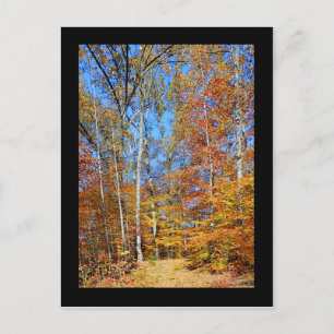 Appalachian Trail Autumn, Herfst Scenery Briefkaar Briefkaart