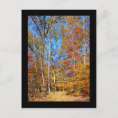 Appalachian Trail Autumn, Herfst Scenery Briefkaar Briefkaart (Voorkant)