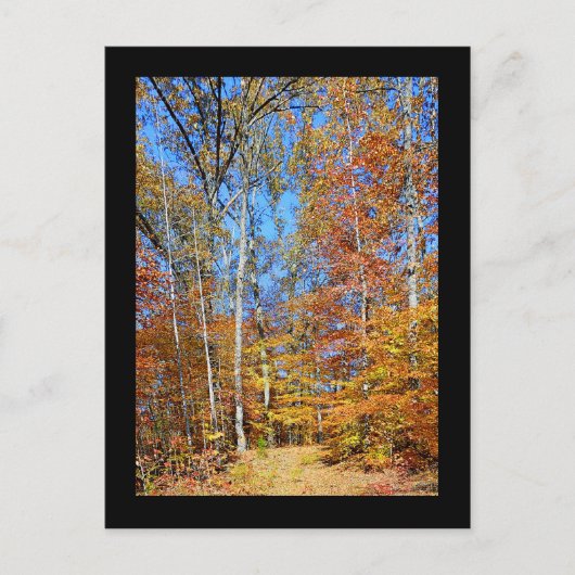 Appalachian Trail Autumn, Herfst Scenery Briefkaar Briefkaart (Voorkant)