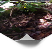 Appalachian Trail bridge bij Laurel Fork Tennessee Poster (Hoek)