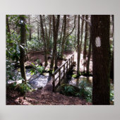 Appalachian Trail bridge bij Laurel Fork Tennessee Poster (Voorkant)