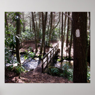 Appalachian Trail bridge bij Laurel Fork Tennessee Poster