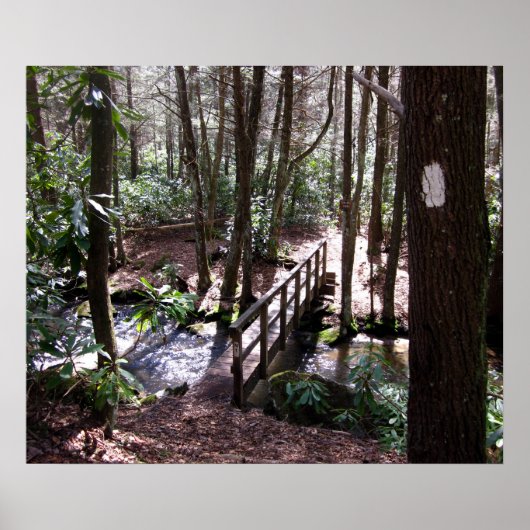 Appalachian Trail bridge bij Laurel Fork Tennessee Poster (Voorkant)