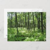 Appalachian Trail Briefkaart (Voorkant / Achterkant)