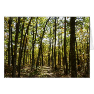 Appalachian Trail in oktober bij Shenandoah