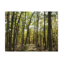 Appalachian Trail in oktober bij Shenandoah