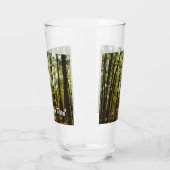 Appalachian Trail in oktober bij Shenandoah Glas (Links)