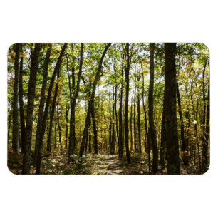 Appalachian Trail in oktober bij Shenandoah Magneet