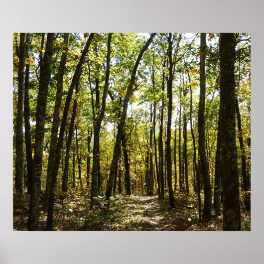 Appalachian Trail in oktober bij Shenandoah Poster (Voorkant)