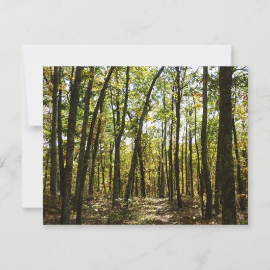 Appalachian Trail in oktober in Shenandoah (Voorkant)