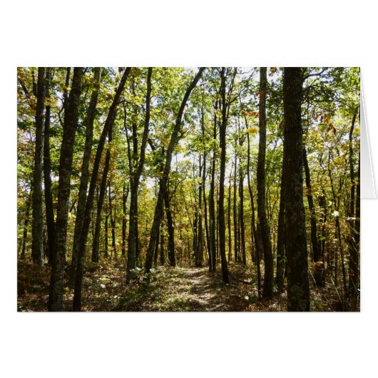 Appalachian Trail in oktober in Shenandoah (Voorkant Horizontaal)